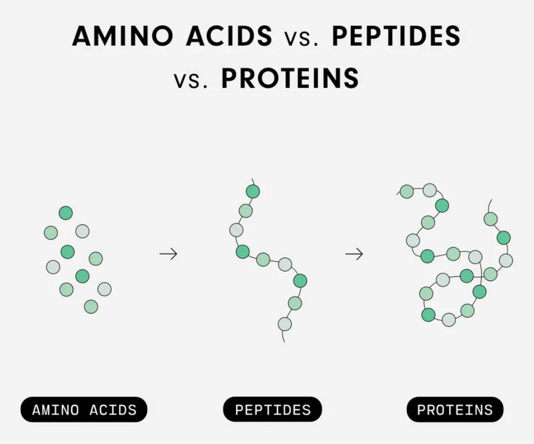 Why Injectable Peptides?