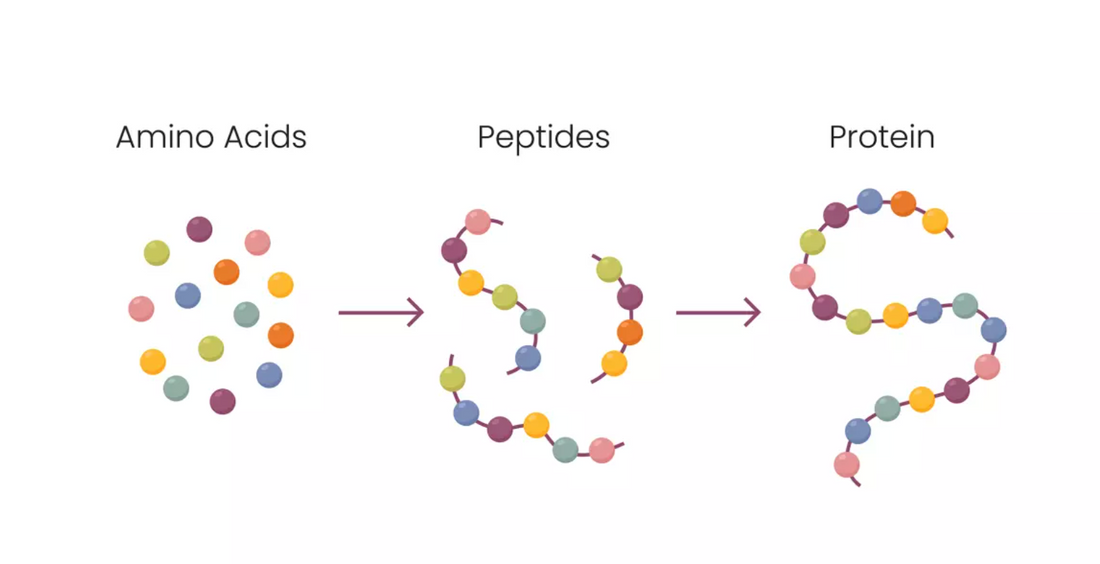 GetPeptides.ae research peptide pens