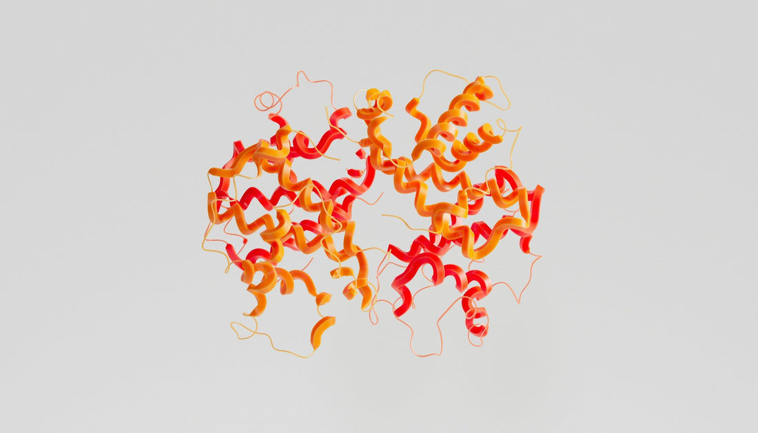 Why Peptides Sound Complicated — and How to Think About Them More Simply