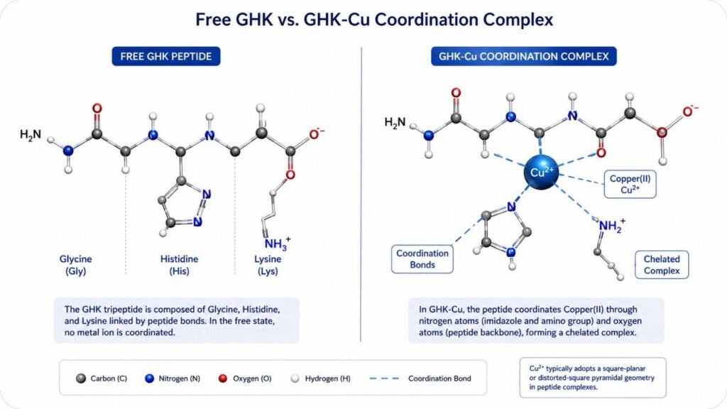 Free GHK vs. GHK-Cu Coordination Complex